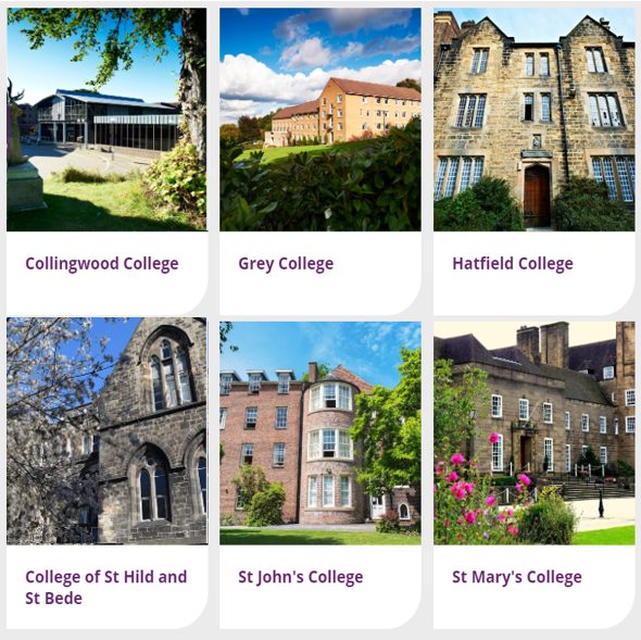 17 所自治学院（一）：Collingwood、Grey、Hatfield、St Hild & St Bede、St John's、St Mary's